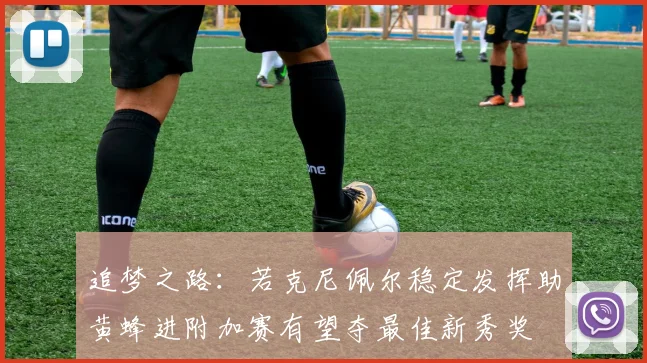 追梦之路：若克尼佩尔稳定发挥助黄蜂进附加赛有望夺最佳新秀奖