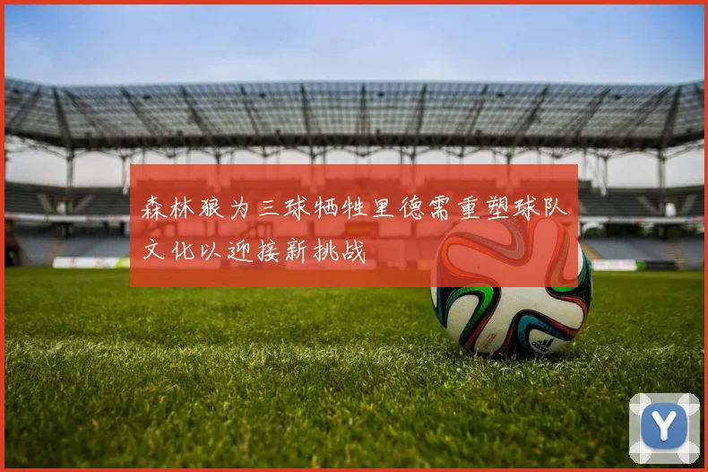 森林狼为三球牺牲里德需重塑球队文化以迎接新挑战