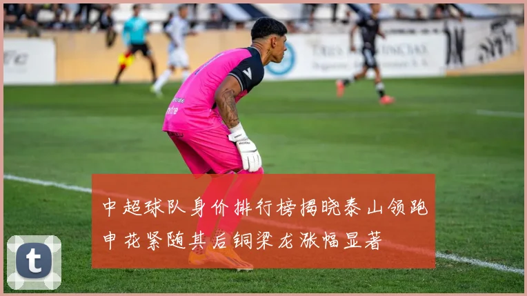 中超球队身价排行榜揭晓泰山领跑申花紧随其后铜梁龙涨幅显著