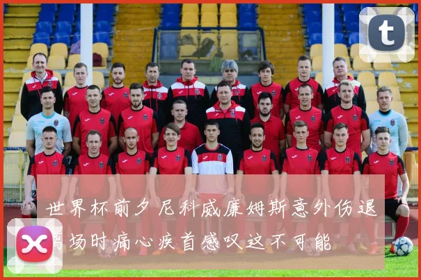 世界杯前夕尼科威廉姆斯意外伤退离场时痛心疾首感叹这不可能