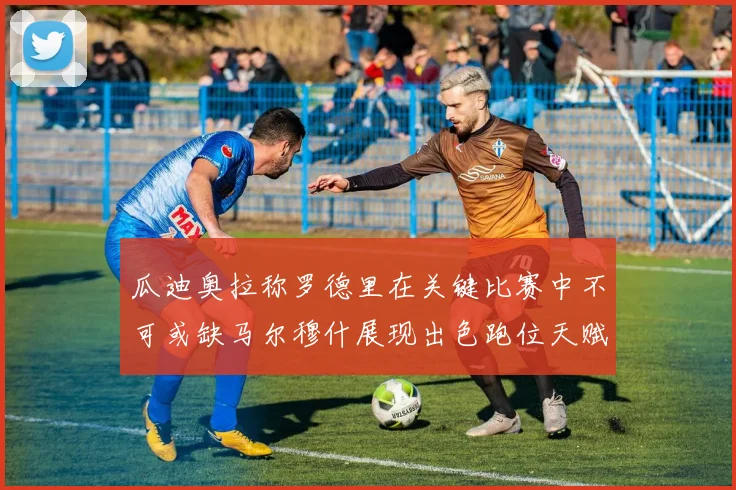 瓜迪奥拉称罗德里在关键比赛中不可或缺马尔穆什展现出色跑位天赋